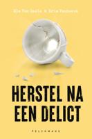 Herstel na een delict (Paperback)