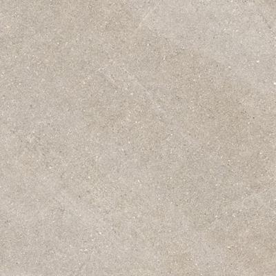 Serenissima Eclettica 1081687 Vloertegel 600X600 Argento 9,5mm Mat Ret.R10