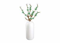 Sluban Jasmijn (m38-b1101-15)