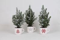 Picea Conica + Sneeuw + Kerstmok - Kerstboom - 3 stuks - Ø12cm - ↕35cm