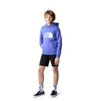 The North Face Cotton Casual Short Jongens 164
