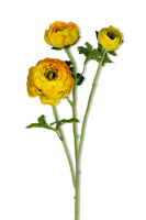 Ranonkel x3 l70cm geel kunstbloem Louis Maes - Louis maes
