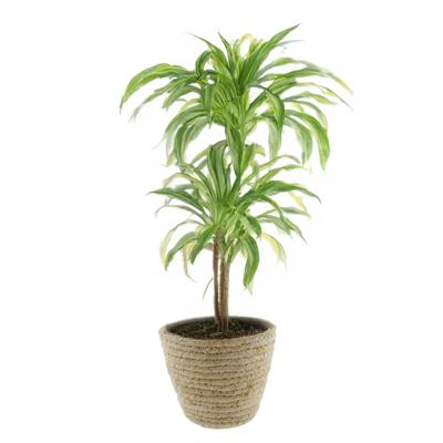 Plantenmand - rotan - maisblad - D25 x H22 cm - ronde plantenpot - bloemen mand
