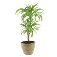 Plantenmand - rotan - maisblad - D25 x H22 cm - ronde plantenpot - bloemen mand Plantenmand - rotan - maisblad - D25 x H22 cm - ronde plantenpot - bloemen mand