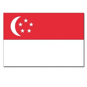 Landen thema vlag Singapore 90 x 150 cm feestversiering