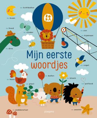 Mijn eerste woordjesboek (Hardback)