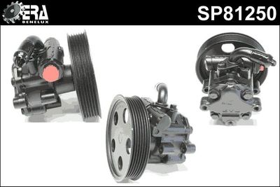 Stuurpomp SP81250