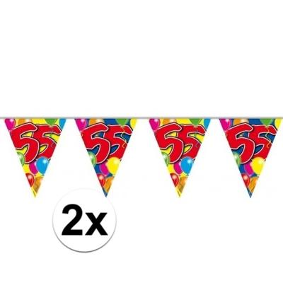 Vlaggenlijn - 2x - plastic - 10 meter - 55 jaar - verjaardagsversiering - buiten decoratie
