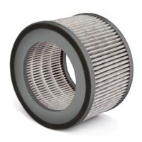 Soehnle 68106 airfresh clean 300 vervangfilter
