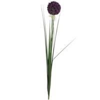Mica Decorations Kunstbloemen - Allium bol bloem - sierui - paars - 80 cm - steelbloemen
