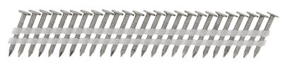 Haubold Haften op strip RB 2,5x25 ring inox A2 FH - 575203