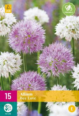 Allium bee love 1 JUB, 5 bollen - Jub