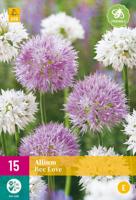 Allium bee love 1 JUB, 5 bollen - Jub