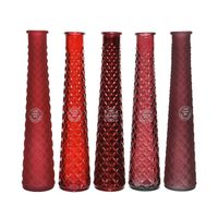 Decoris - Vaas recycled glas d7h32cm rood a5