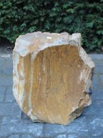 Versteend hout MA-08, 41 cm