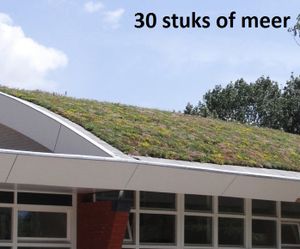 Minimaal 30 stuks! Sedummixmat Compleet (incl. drainage type 11c & daktuinsubstraat) per 1.2 m2 max. 25 graden - Sempergreen