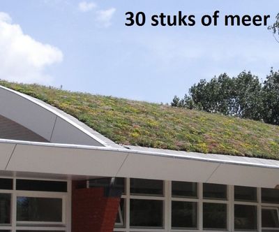 Minimaal 30 stuks! Sedummixmat Compleet (incl. drainage type 11c & daktuinsubstraat) per 1.2 m2 max. 25 graden - Sempergreen