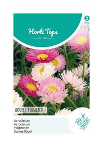 HT Acroclinium dubbelbloemig gemengd
