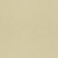 Dutch Wallcoverings Langenas - Fennel - Beige