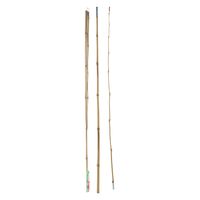 Hengel Bamboe, 2mtr.