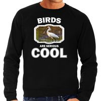 Dieren lepelaar vogel sweater zwart heren - birds are cool trui - thumbnail