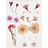 Creativ Company Gedroogde bloemen en bladeren, ca. 19 stuk, lichtroze, 1 doos