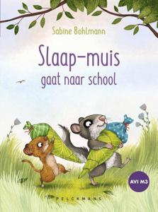 Slaap-muis gaat naar school (AVI M3) (Hardback)