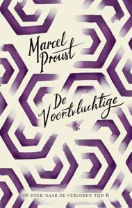 De voortvluchtige (Paperback)