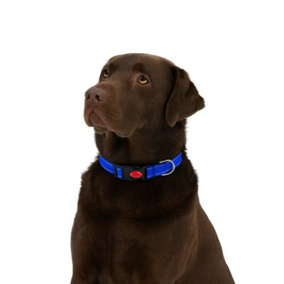 Nobleza Hondenhalsband met kliksluiting - Blauw - Reflecterend - 60 cm Nobleza Hondenhalsband met kliksluiting - Blauw - Reflecterend - 60 cm