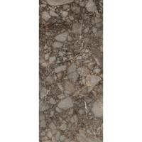 Douglas & Jones Vloertegel 120x280 cm Magnum Glans Riverbed - Vloertegel 120x280 cm Magnum Glans Riverbed (prijs Per Tegel)