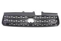 Radiateurgrille 6502078179993P Radiateurgrille 6502078179993P