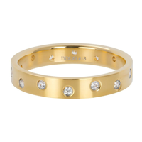 iXXXi Vulring Zirconia 14 Stones Crystal Matt Goud