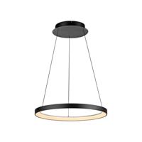 Paul Neuhaus Ronde hanglampHoop zwart - 2851-18