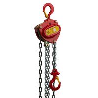 Delta Premium handkettingtakel | 6 m | 1 ton - DR.0.04101006 DR.0.04101006