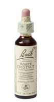 Bach Flower Remedies Paardekastanje 35