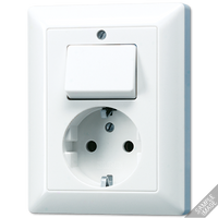 Jung AS500 combinatie wandcontactdoos met randaarde en wisselschakelaar creme AS5576EU