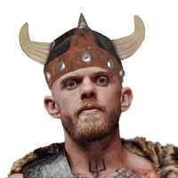 Viking verkleed helm bruin/beige voor volwassenen   -