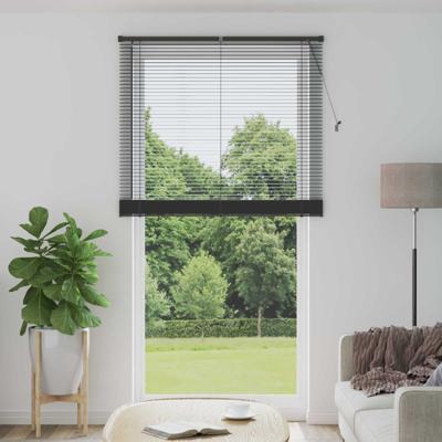 VidaXL Venetiaanse blind verstelbaar zilvergrijs 213 x 120 cm pvc