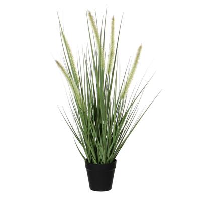 Decoratieve plant Mica Decorations Dogtail PVC