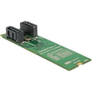 Delock 62961 Converter M.2 Key B+M male > 2 x SATA 7-pins male met RAID