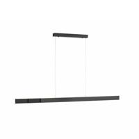 Paul Neuhaus Strakke hanglampPure Lume antraciet - 2738-13