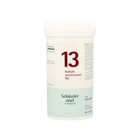 Pflüger Kalium arsenicosum 13 D6 Schussler 400 Tabletten