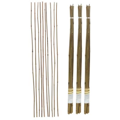 Gerimport Plantenstokken - 30x stuks - 90 cm - plantensteun / tonkinstokken
