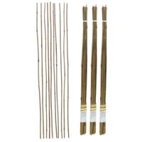 Gerimport Plantenstokken - 30x stuks - 90 cm - plantensteun / tonkinstokken