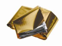 Reddingsdeken goud/zilver, 210x160cm