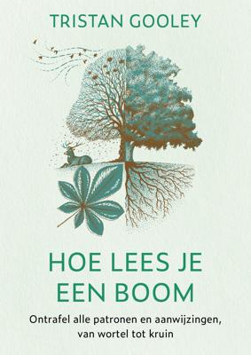 Hoe lees je een boom (Paperback)