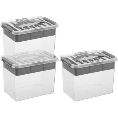Opberg box/opbergdoos met vakverdeling - 3x - tray 9 liter - transparant/zilver - 30 x 20 x 22 cm