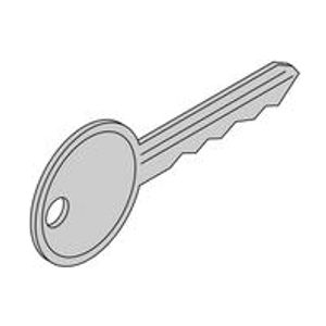 60127018  (15 Stück) - Cylinder key for enclosure 60127-018