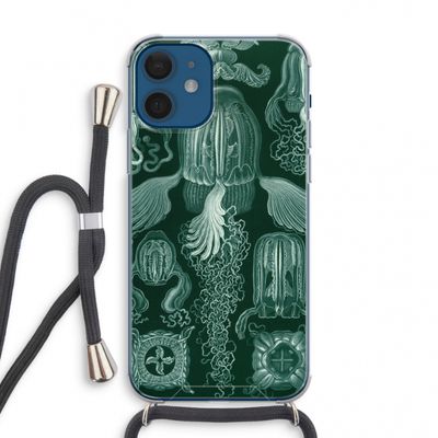 Haeckel Cubomedusae: iPhone 12 mini Transparant Hoesje met koord