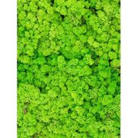 Rendiermos Licht Gras Groen bulk 0,45 m2 gepreserveerd mos - thumbnail